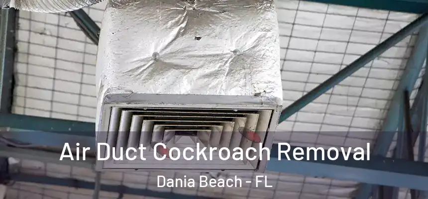 Air Duct Cockroach Removal Dania Beach - FL