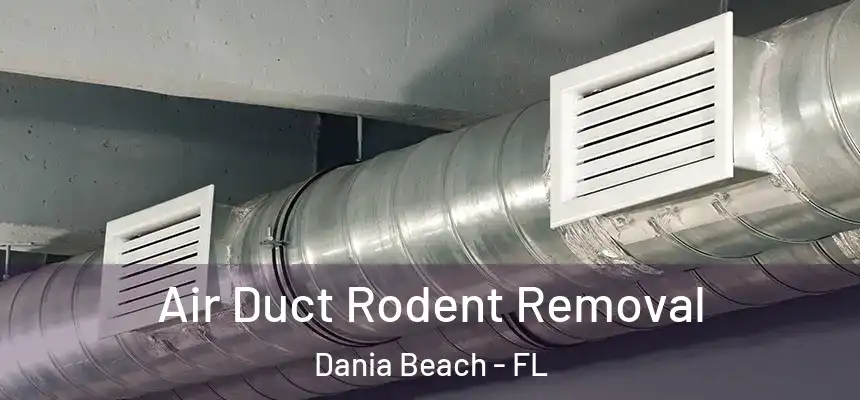 Air Duct Rodent Removal Dania Beach - FL