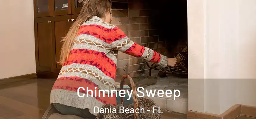 Chimney Sweep Dania Beach - FL