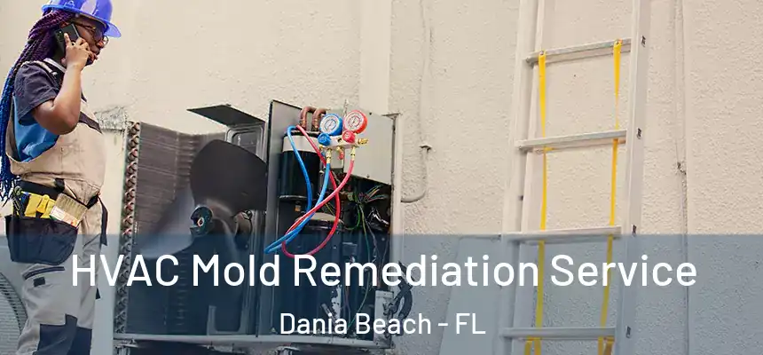 HVAC Mold Remediation Service Dania Beach - FL