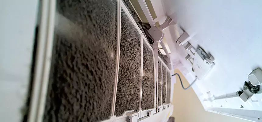 Preventive Air Duct Bacteria Removal in Dania Beach