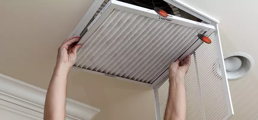 Preventive Cockroach-Proofing for Ducts in Dania Beach