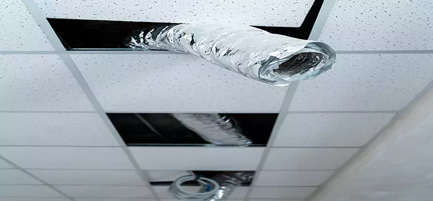 Affordable HVAC Sanitizing After Pest Removal in Dania Beach