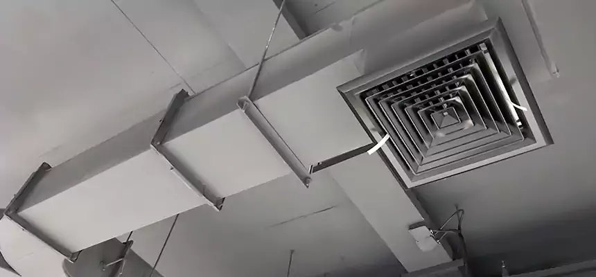 Restorative Allergy Relief Vent Cleaning – Coil, Blower & Housing Detail in Dania Beach