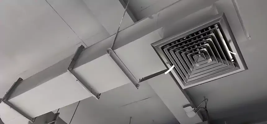 Our Pest Removal From Ducts Services in Dania Beach, FL