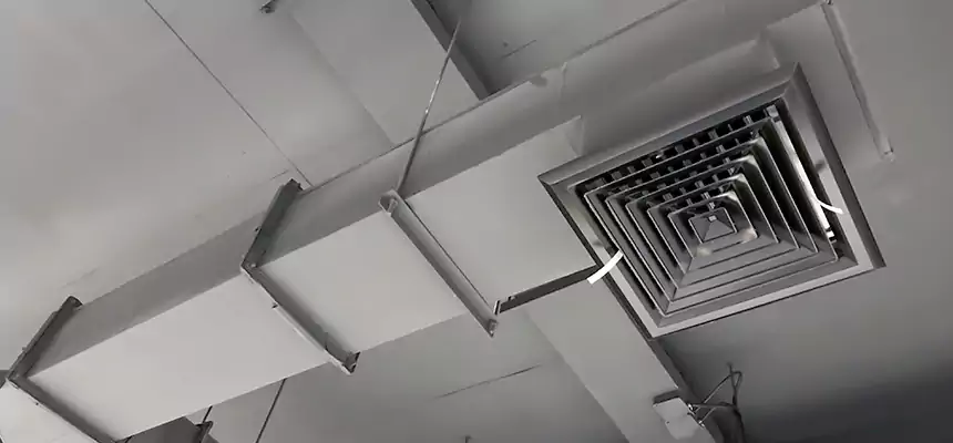 Our Rodent Droppings In Vents Services in Dania Beach, FL