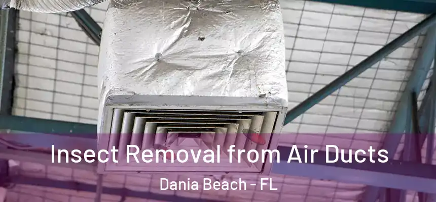  Insect Removal from Air Ducts Dania Beach - FL