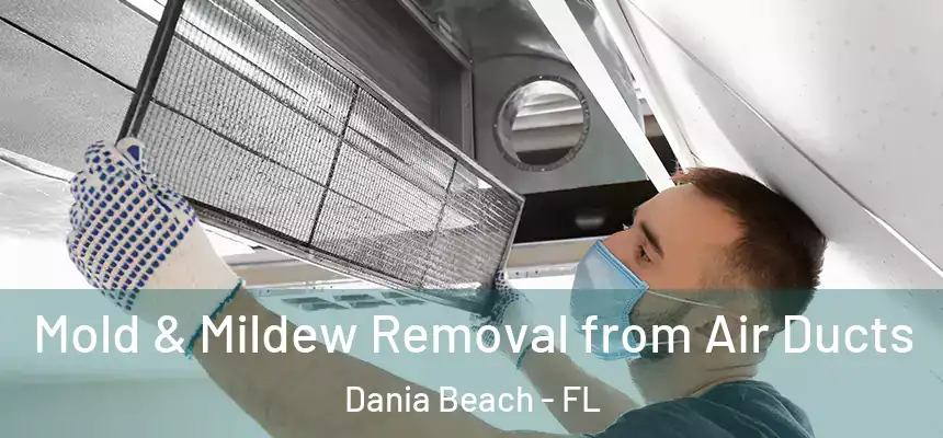 Mold & Mildew Removal from Air Ducts Dania Beach - FL
