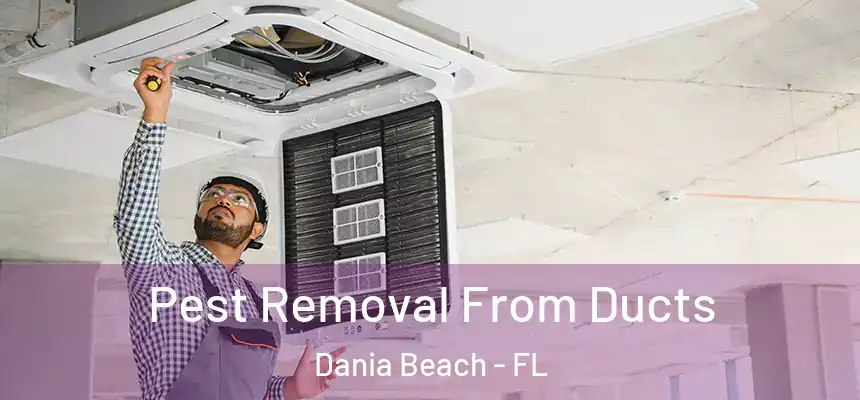 Pest Removal From Ducts Dania Beach - FL