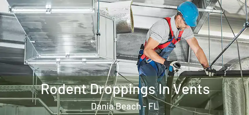  Rodent Droppings In Vents Dania Beach - FL
