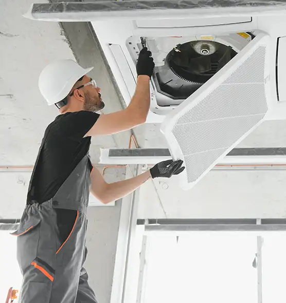 About Air Duct Rodent Removal in Dania Beach, FL