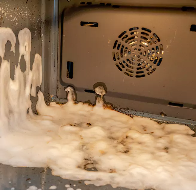 Why Homeowners & Businesses Trust Us in Dania Beach, FL?