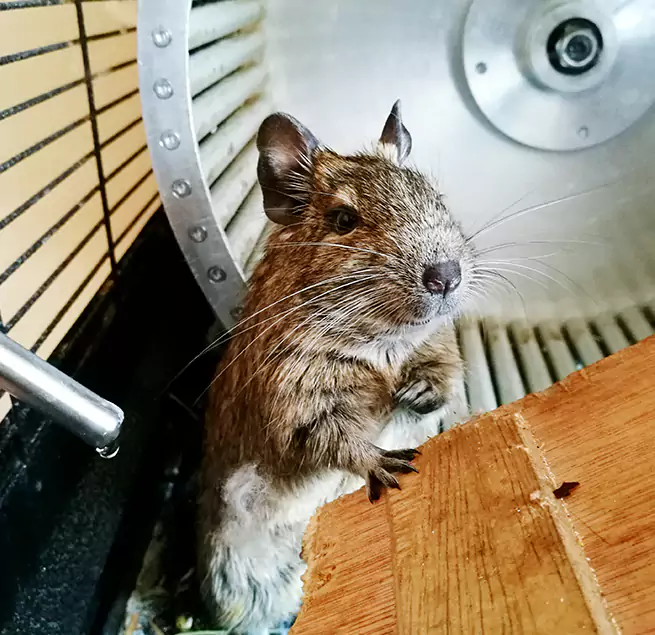 Why Homeowners & Businesses Trust Us Dania Beach, FL