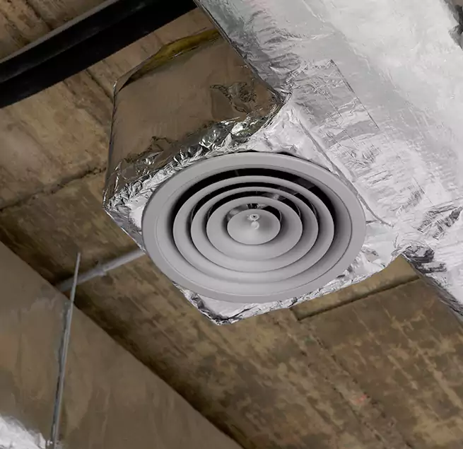 Why Homeowners & Businesses Trust Us in Dania Beach, FL