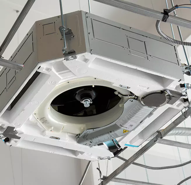 Why Homeowners & Businesses Trust Us in Dania Beach, FL?