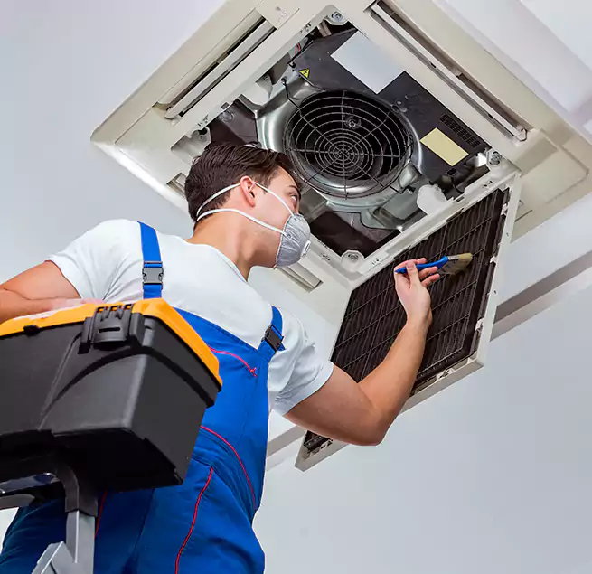 Why Homeowners & Businesses Trust Us in Dania Beach, FL