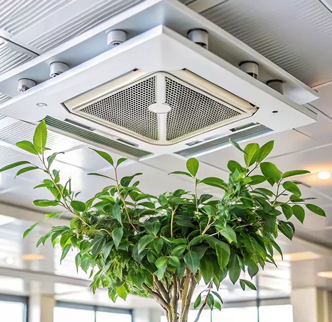 Why Homeowners & Businesses Trust Us in Dania Beach, FL?