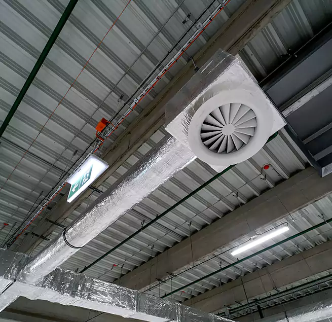 Why Homeowners & Businesses Trust Us in Dania Beach, FL