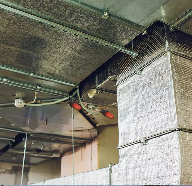 Why Homeowners & Businesses Trust Us Dania Beach, FL?