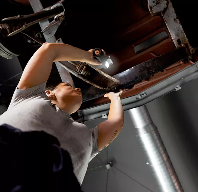 Why Homeowners & Businesses Trust Us Dania Beach, FL