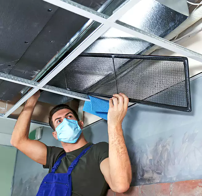 Why Homeowners Businesses Trust Us in Dania Beach, FL